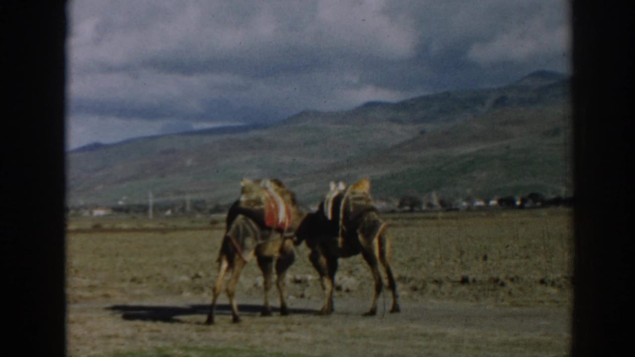 1962 Ephesus, Turkey home-movie frame showing two pack camels in a wide valley landscape below cloudy mountains.