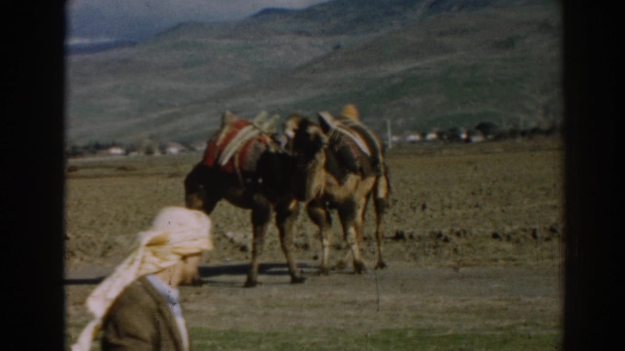 A man in traditional-looking headwear passes in front of two pack camels near Ephesus, Turkey, in 1962 footage.