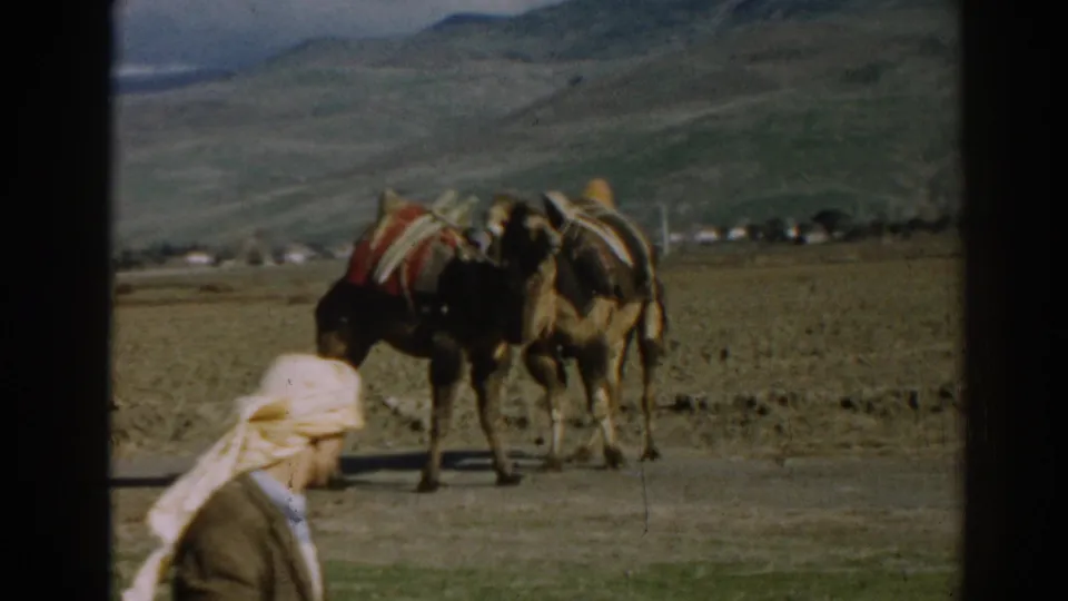A man in traditional-looking headwear passes in front of two pack camels near Ephesus, Turkey, in 1962 footage.