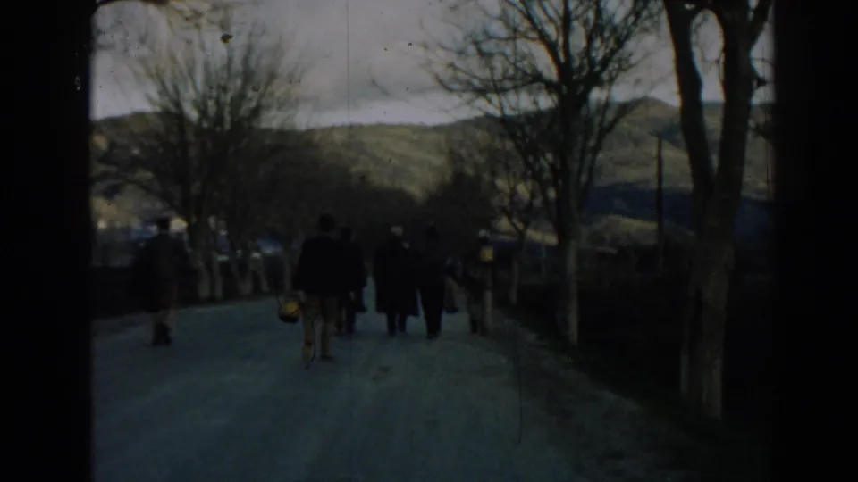 Visitors walk away from the camera along a tree-lined road in 1962 Ephesus-area travel footage.