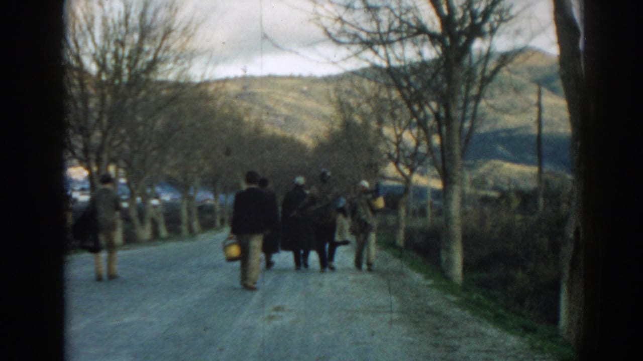 People walk away on a tree-lined rural road with hills in the distance.