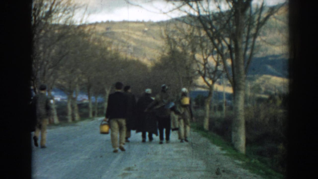 Group of people continues along a rural road bordered by trees and fields.