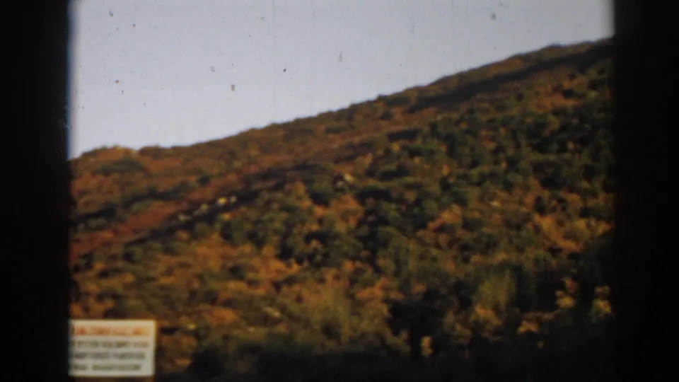 1962 8mm travel frame showing the Ephesus hillside, scrub vegetation, and a partially cropped white sign at lower left.