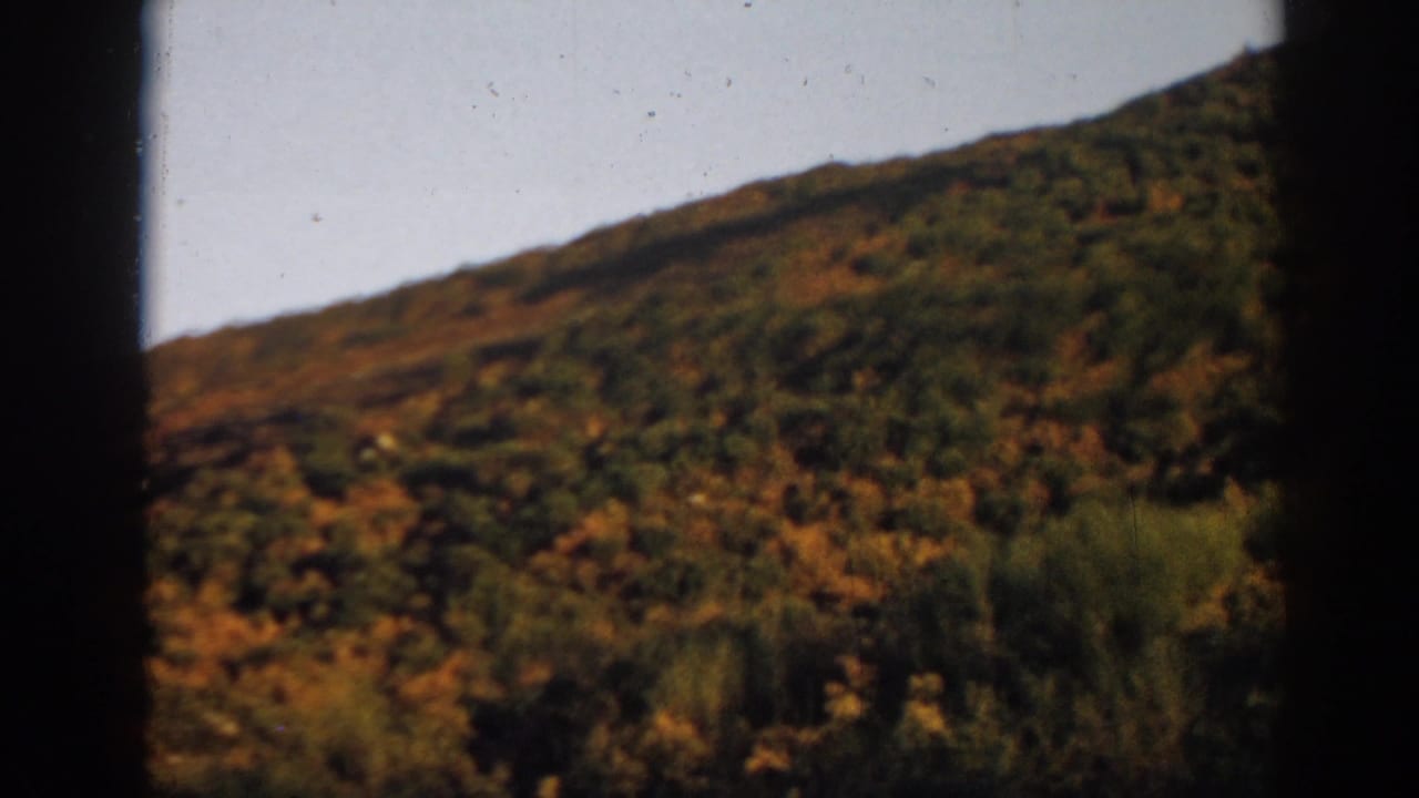 Scrub-covered hillside under pale sky, bordered by dark film-frame edges.