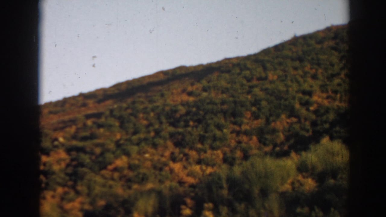 Ephesus-area hillside in 1962 8mm footage, showing dense scrub and warm-toned vegetation beneath a pale sky.