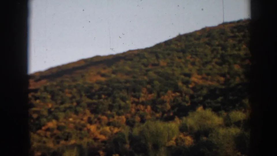 Handheld 8mm view of a scrubby Ephesus-area hillside, with soft focus and warm faded color.