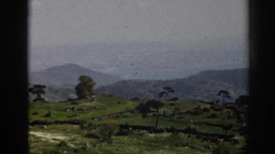 Moving 8mm view near Ephesus, Turkey, with rural green fields, scattered trees, stone walls, and misty hills.