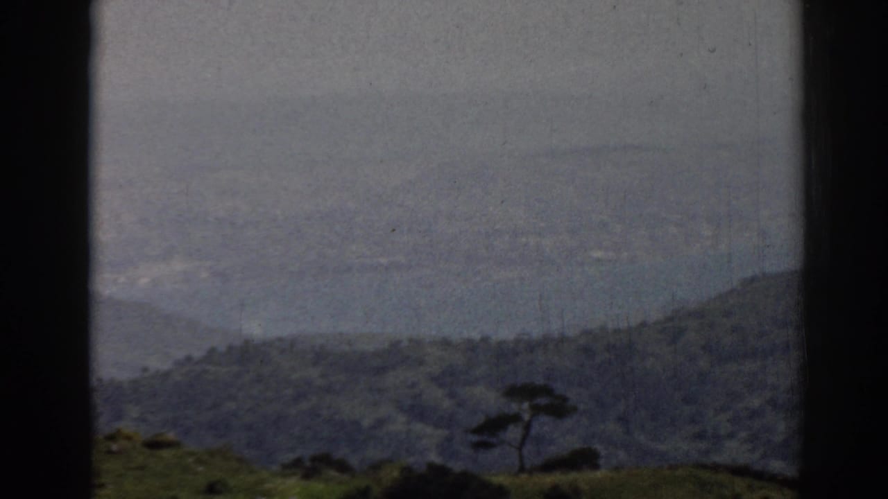 Hazy 8mm landscape near Ephesus with distant mountains, pale sky, and a dark foreground tree on a green ridge.