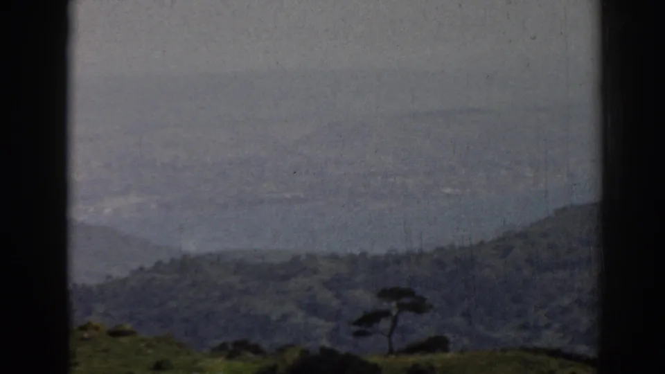 Hazy 8mm landscape near Ephesus with distant mountains, pale sky, and a dark foreground tree on a green ridge.