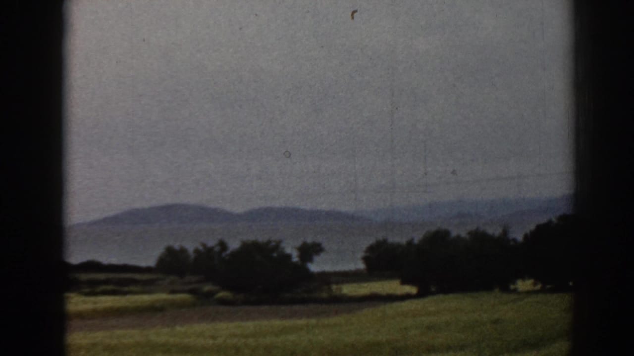 8mm home-movie frame of the Ephesus-area countryside, with trees, fields and distant mountains under haze.