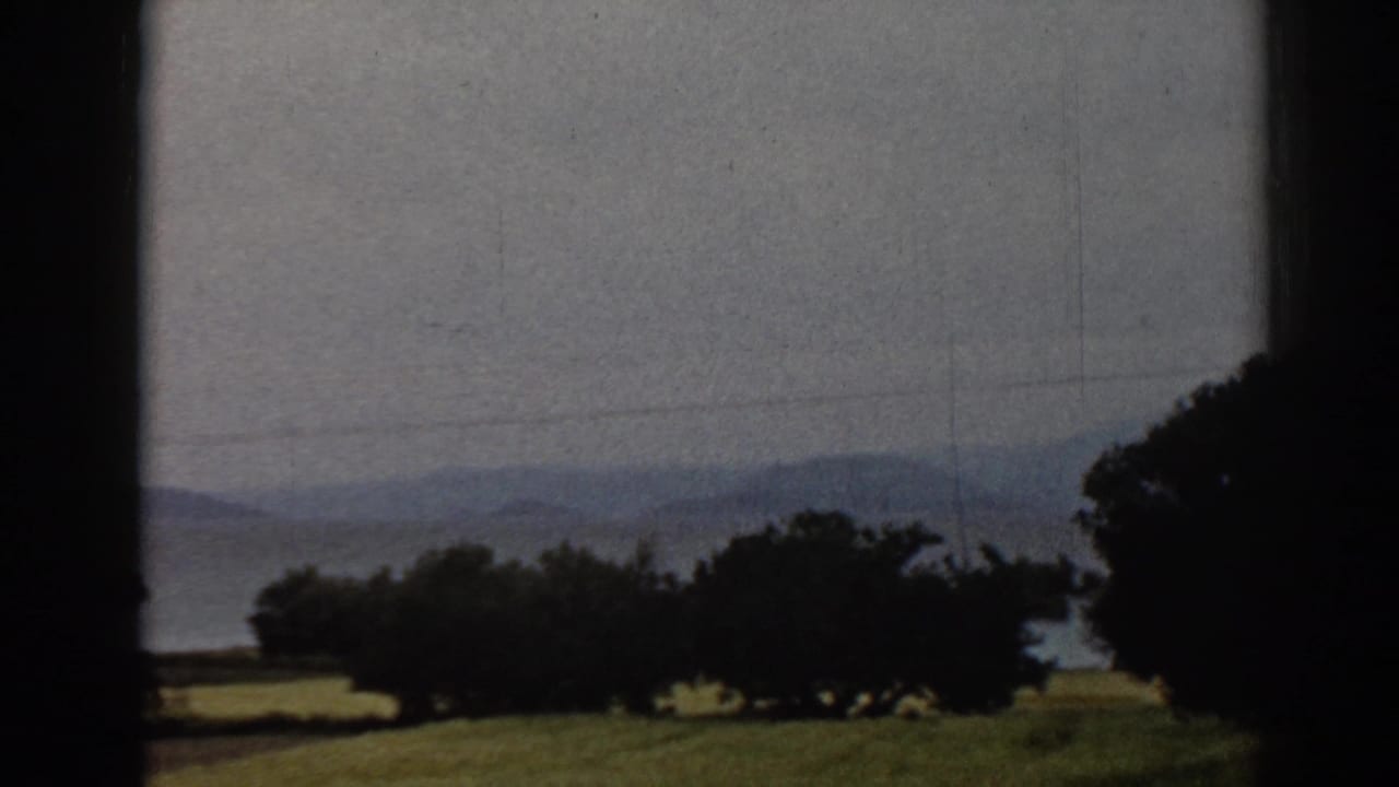1962 Ephesus rural scenery with a dark tree line, grass, distant hills, faint power lines, and soft overcast light.