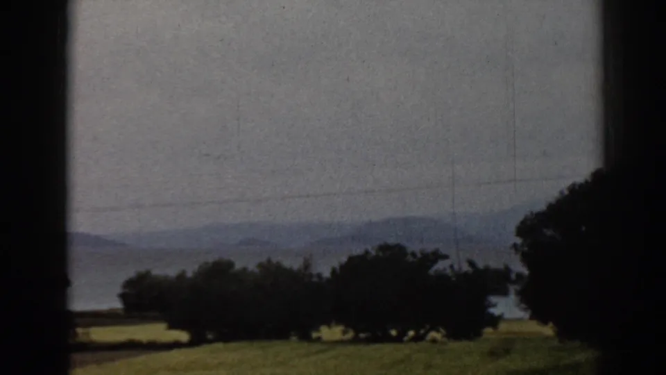 1962 Ephesus rural scenery with a dark tree line, grass, distant hills, faint power lines, and soft overcast light.