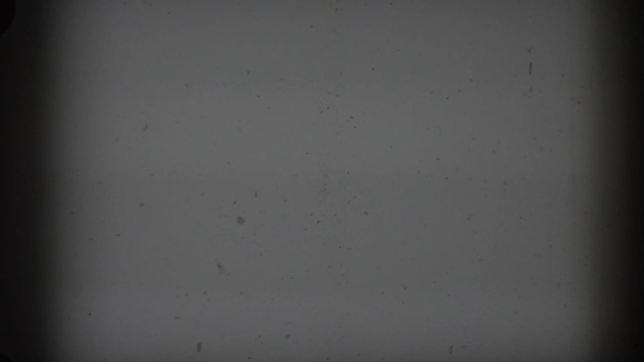 Mostly damaged or blank film frame with dark vertical edge and small dust marks.