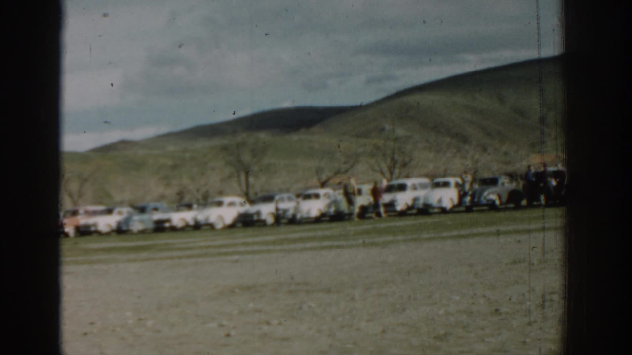 Several white cars parked in a line with people gathered near the right side.