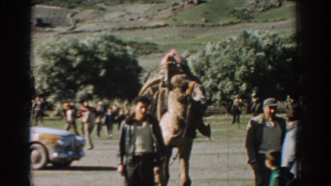 1962 Izmir-area home-movie frame showing men leading a camel through open village ground with trees, hills, and a parked car visible.