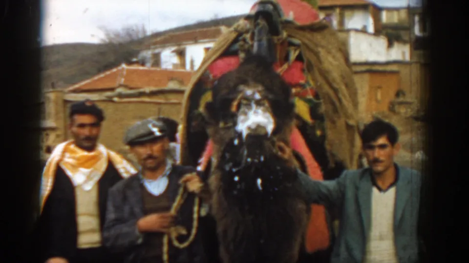 Final 1962 Izmir-area frame showing a decorated camel facing the camera as men walk beside it on a village road.