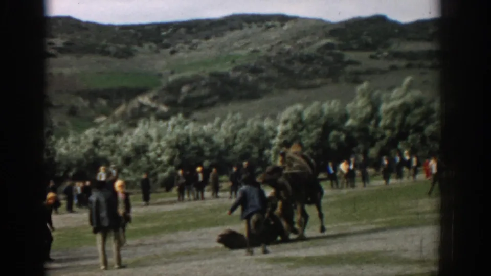 A camel appears down on the grass during the fight, with another camel and a semicircle of onlookers in the valley setting.