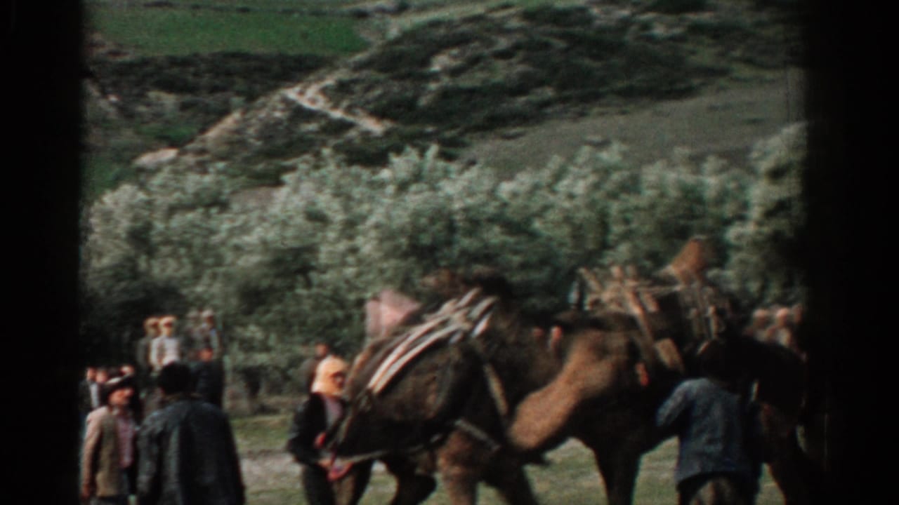 1962 Izmir 8mm frame showing saddled camels guided through a park with onlookers, trees, and a hillside behind them.