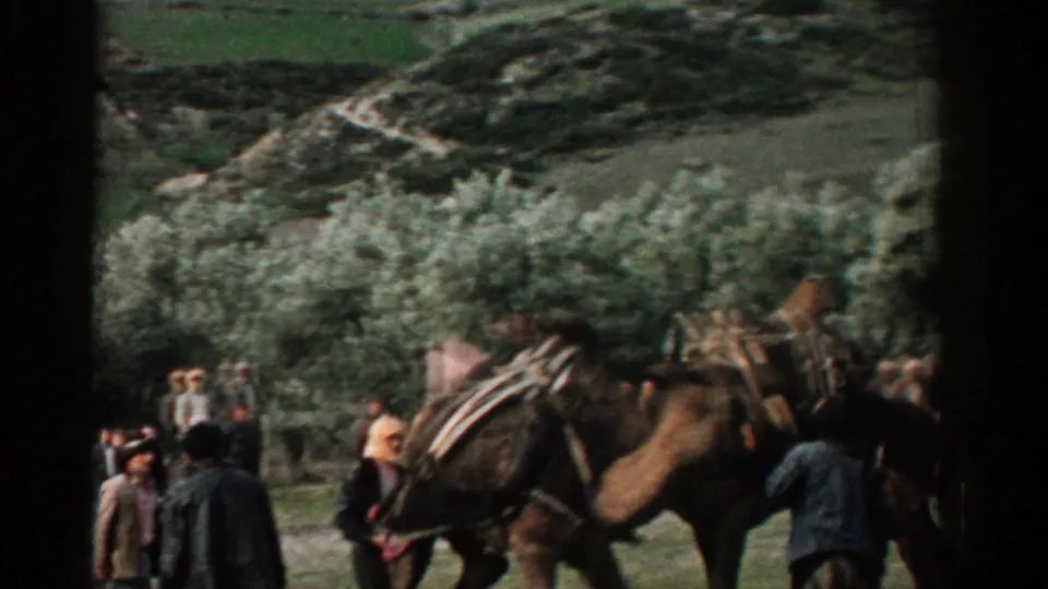 1962 Izmir 8mm frame showing saddled camels guided through a park with onlookers, trees, and a hillside behind them.