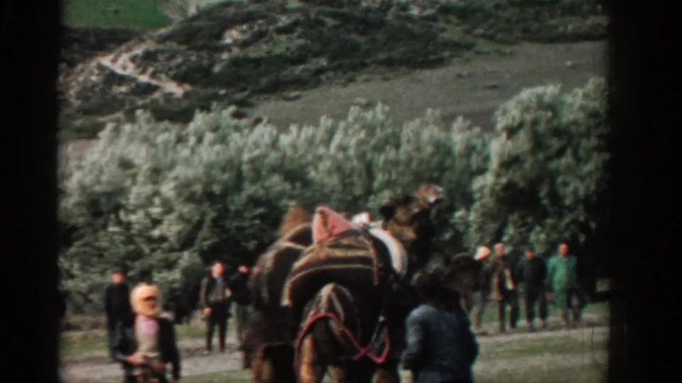 1962 Izmir park scene with a saddled camel in the foreground and scattered onlookers standing near trees and open grass.