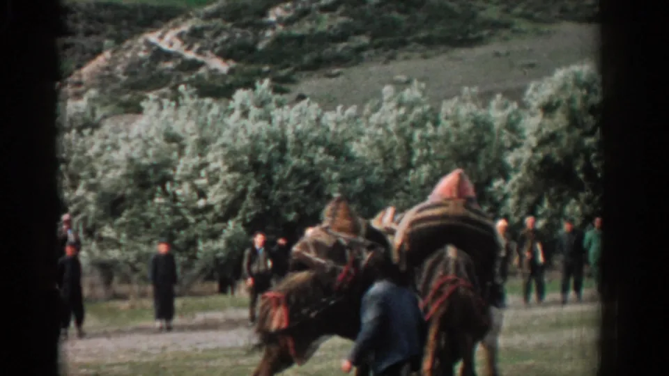 1962 Izmir 8mm frame with two saddled camels in a park, a nearby person in a blue jacket, and several onlookers by the trees.
