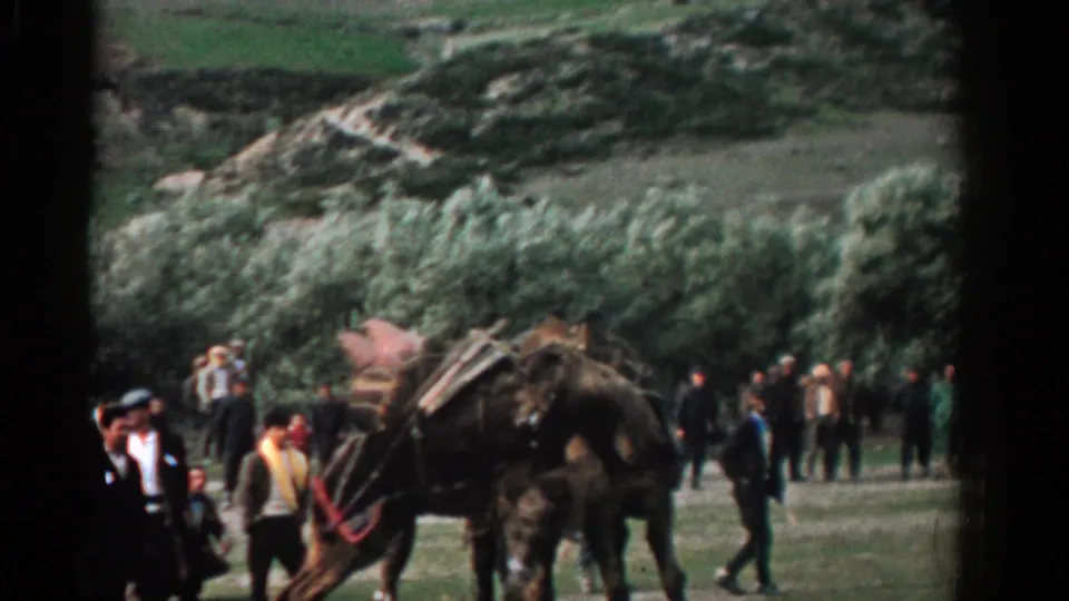 Two pack horses appear restless beside a dirt path while onlookers in period clothing watch in the 1962 Izmir footage.