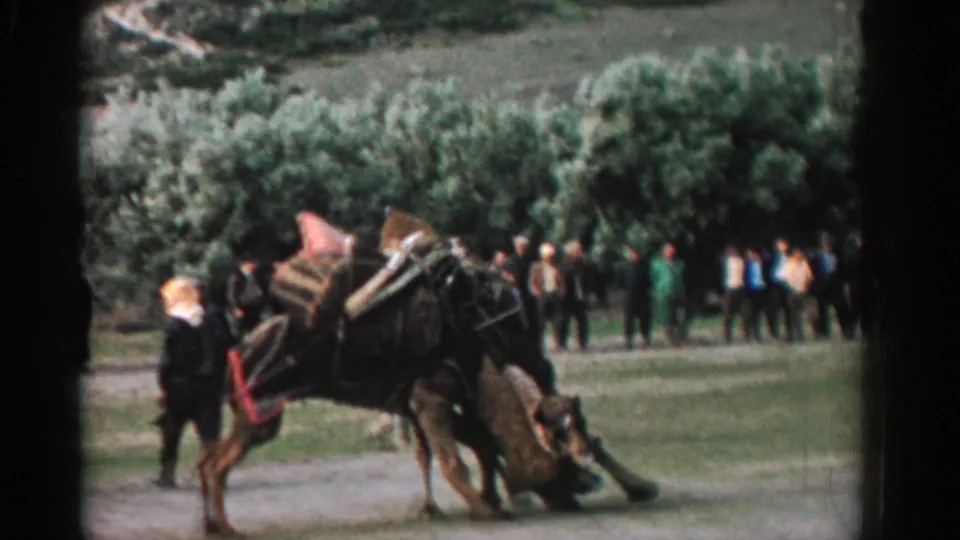 A pack horse bends low or stumbles beside another loaded horse, with bystanders visible in 1962 Izmir home-movie footage.
