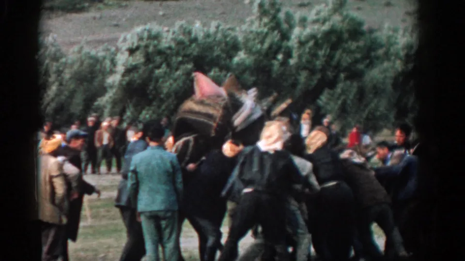 In supplied 1962 Izmir footage, adults gather around a loaded camel, with several people close to the animal as it is helped upright.
