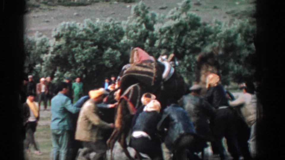 In supplied 1962 Izmir footage, several adults remain close to the loaded camel as onlookers watch from the tree-lined open ground.