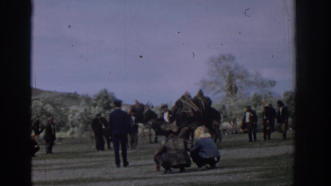 Camels and several adults gathered on a grassy field with trees and hills behind them.