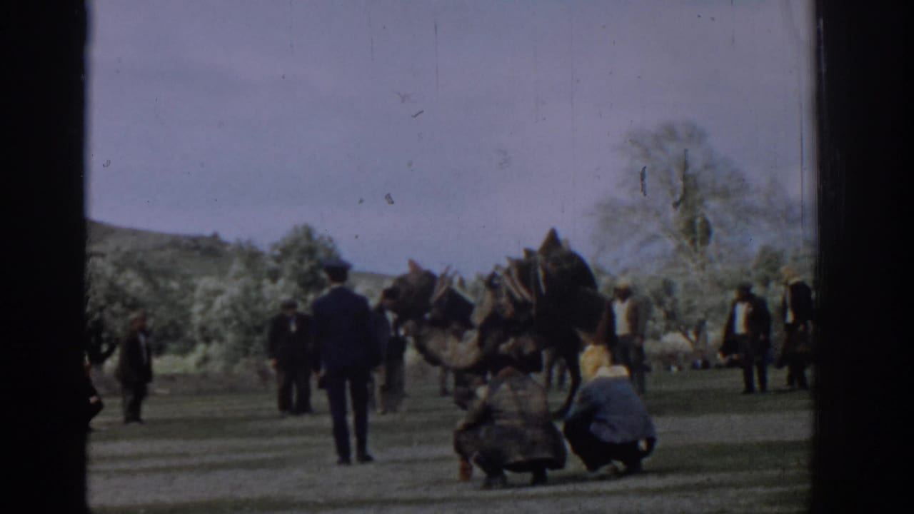 A camel kneels or rises while adults stand and crouch around it in an open field.
