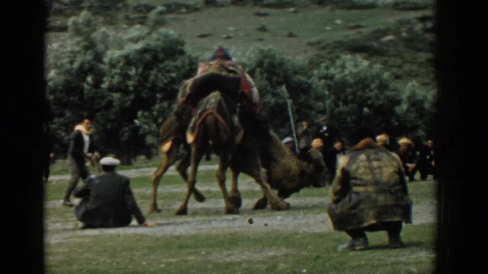 1962 Izmir frame of a standing camel beside seated and crouching adults, with trees and hillside beyond.