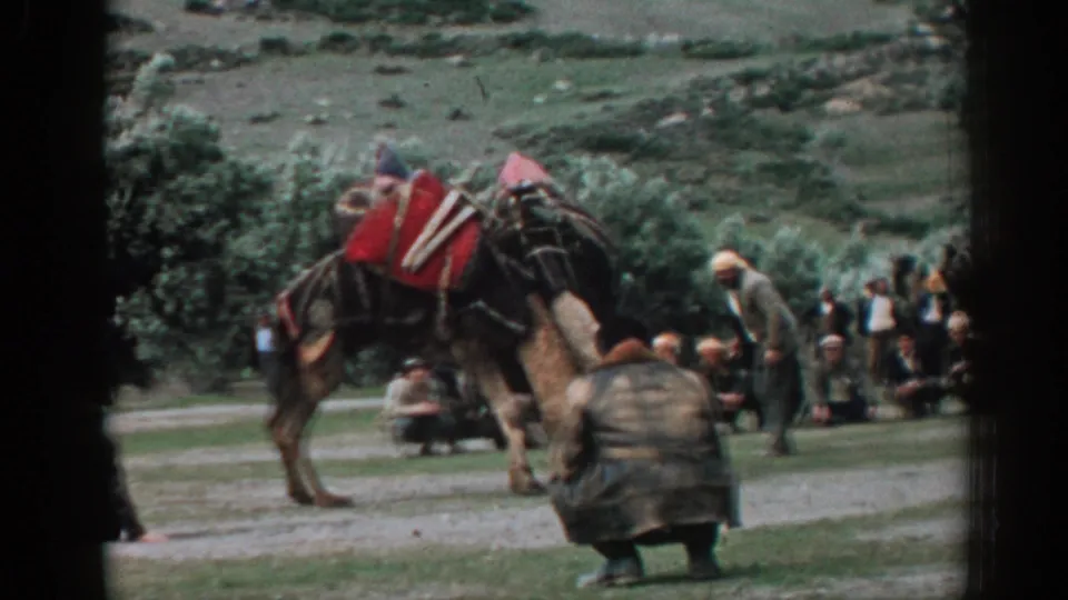 The final 1962 Izmir frame shows the camel fight continuing with spectators seated behind and a crouched man close to the camera.