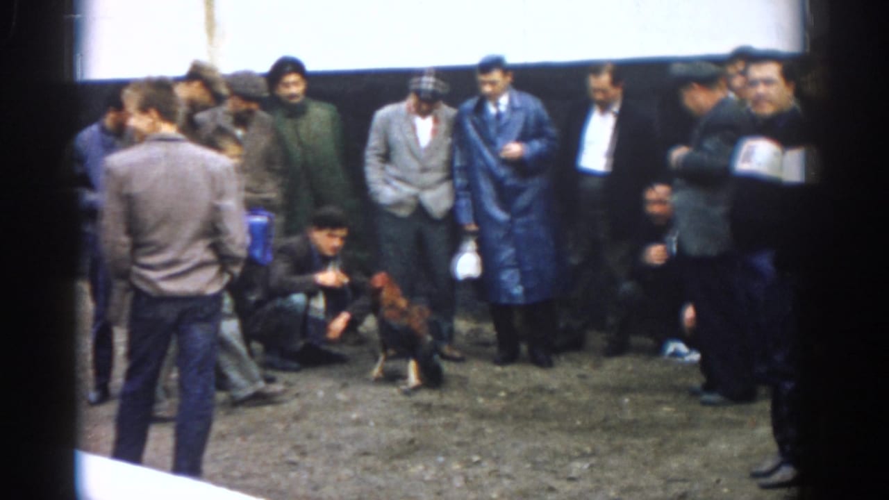Men stand and crouch around two roosters in a dirt enclosure.