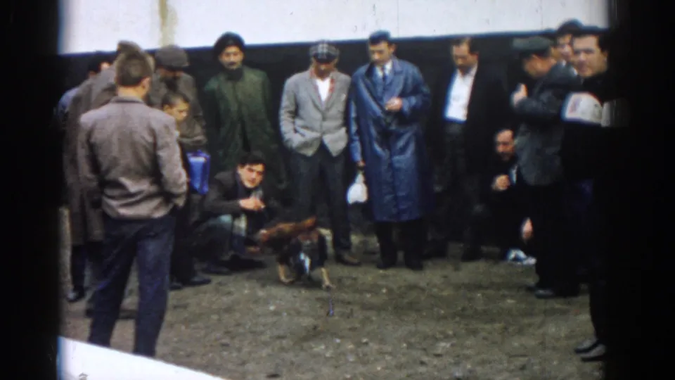Adult men in coats and work clothes watch roosters in the dirt during the supplied 1962 Izmir home-movie scene.