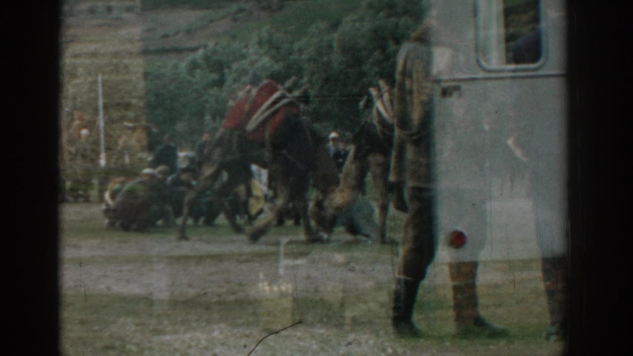 1962 Izmir home-movie frame showing men watching two large animals near a white vehicle or trailer, seen through reflective glass.