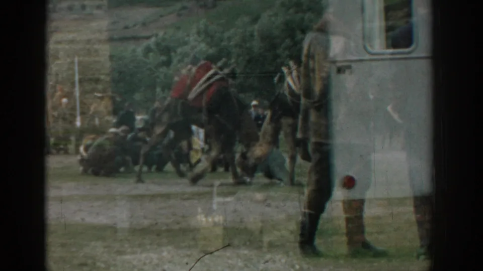 1962 Izmir home-movie frame showing men watching two large animals near a white vehicle or trailer, seen through reflective glass.