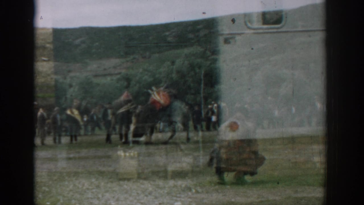 A large animal with a red covering stands near onlookers and a white vehicle or trailer.