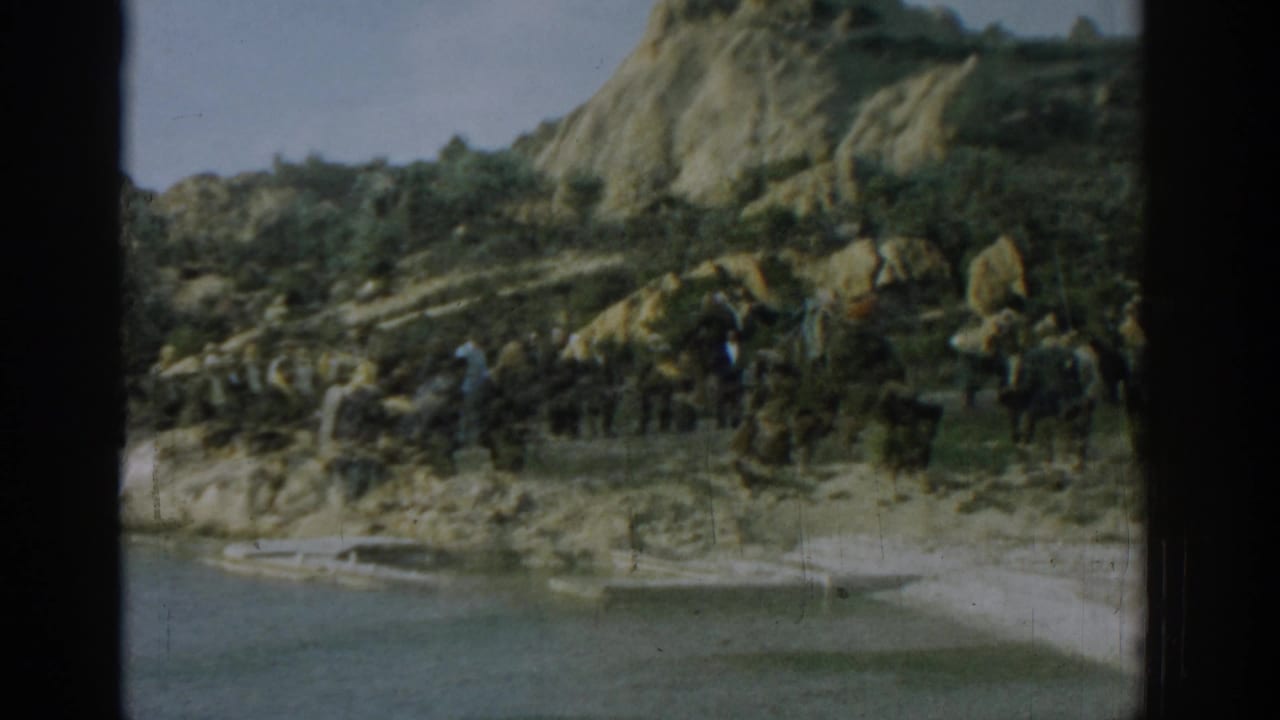Crowd gathered near a large animal on a rocky shoreline with hills behind.