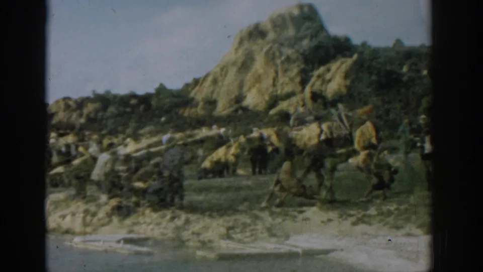 1962 Izmir frame with a crowd watching a large unidentified animal on a rocky shore below a scrubby hill.
