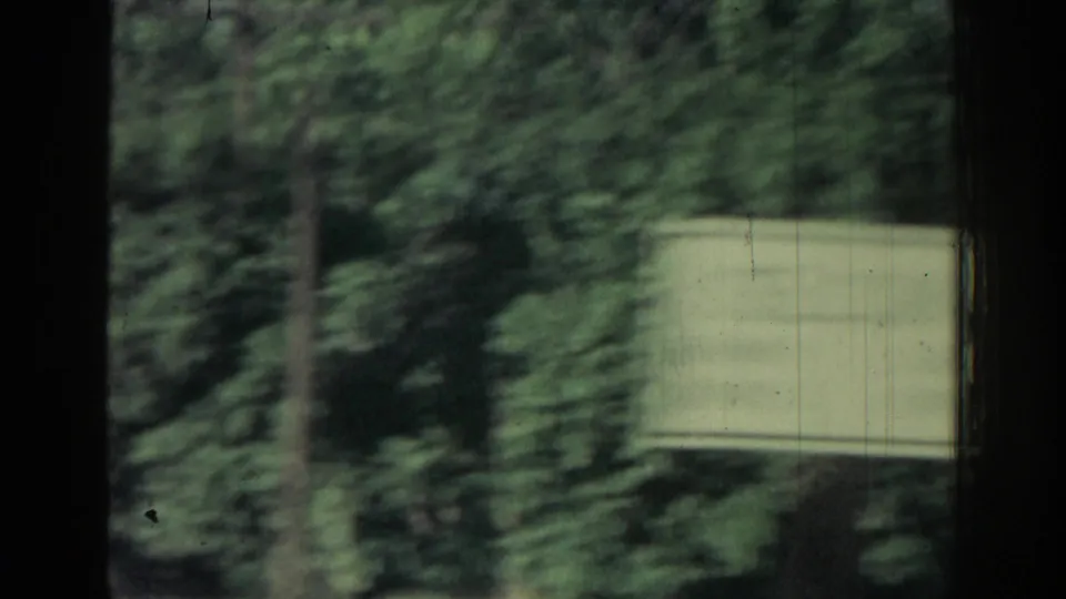 Motion-blurred 1962 8mm travel view of roadside vegetation and a pale sign or wall beside the route.