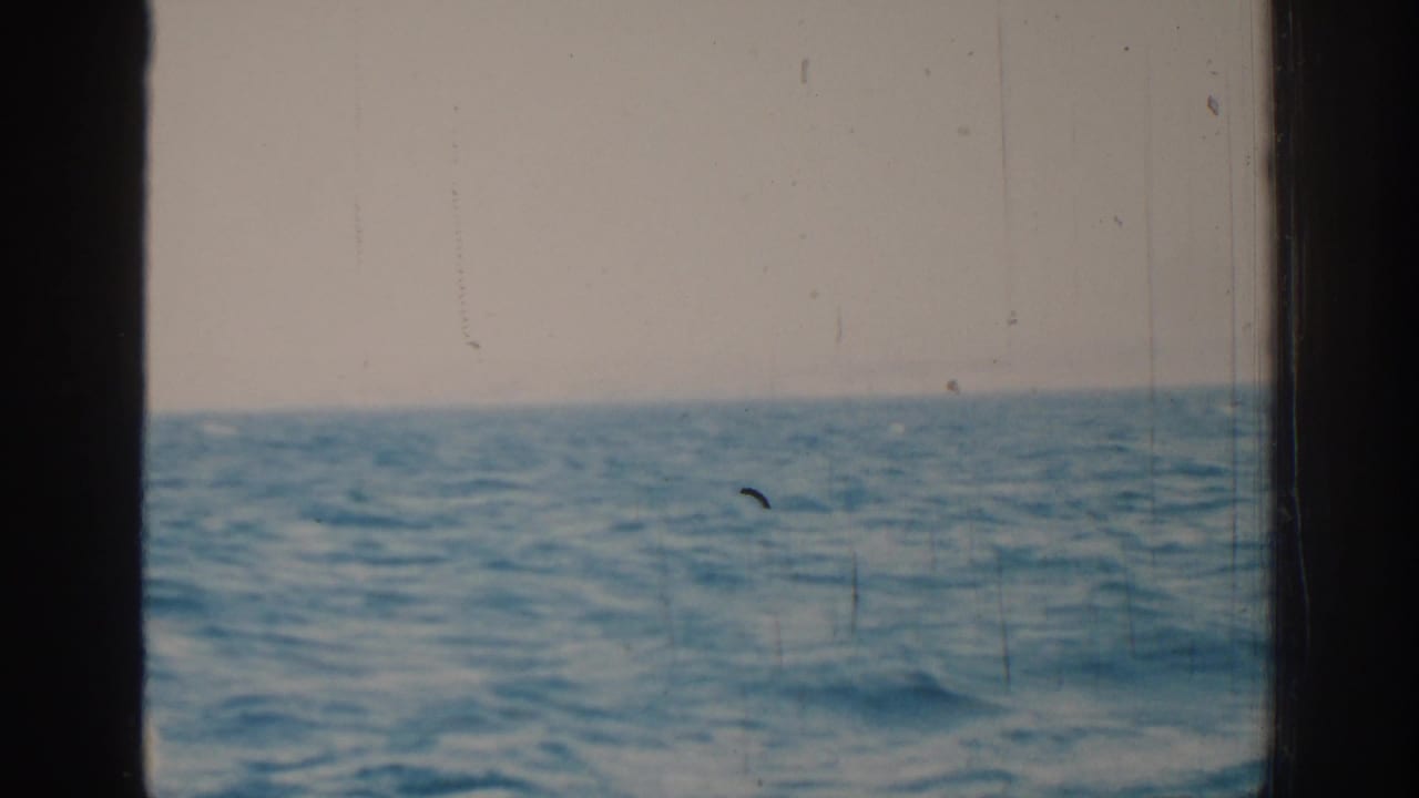Choppy blue sea and pale sky seen through dark vertical boat framing.