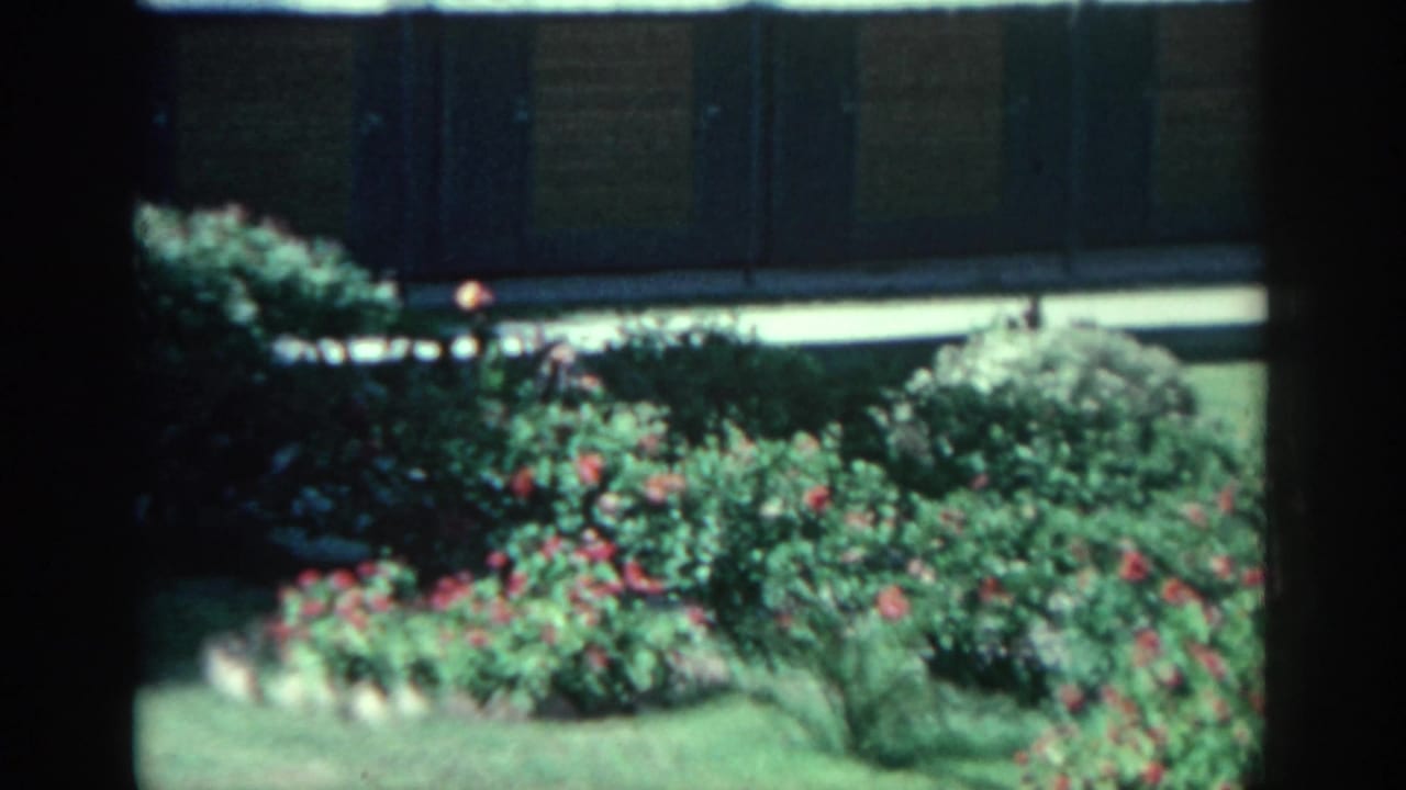 Garden beds with red flowers and shrubs in front of a low building.
