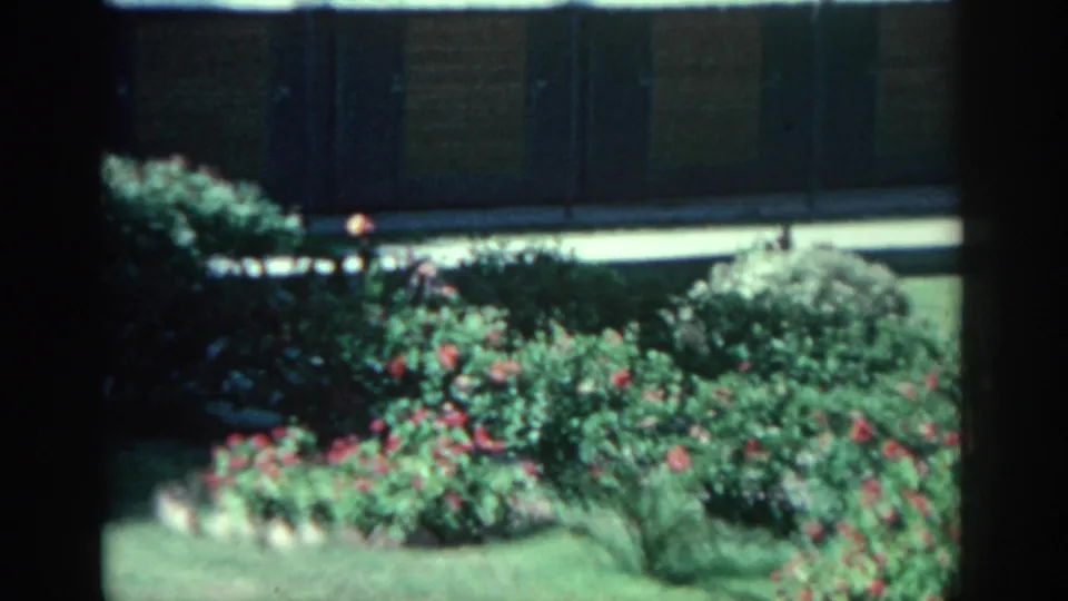 1962 Rhodes 8mm frame showing flowering garden beds, green lawn, and a low building behind the landscaping.