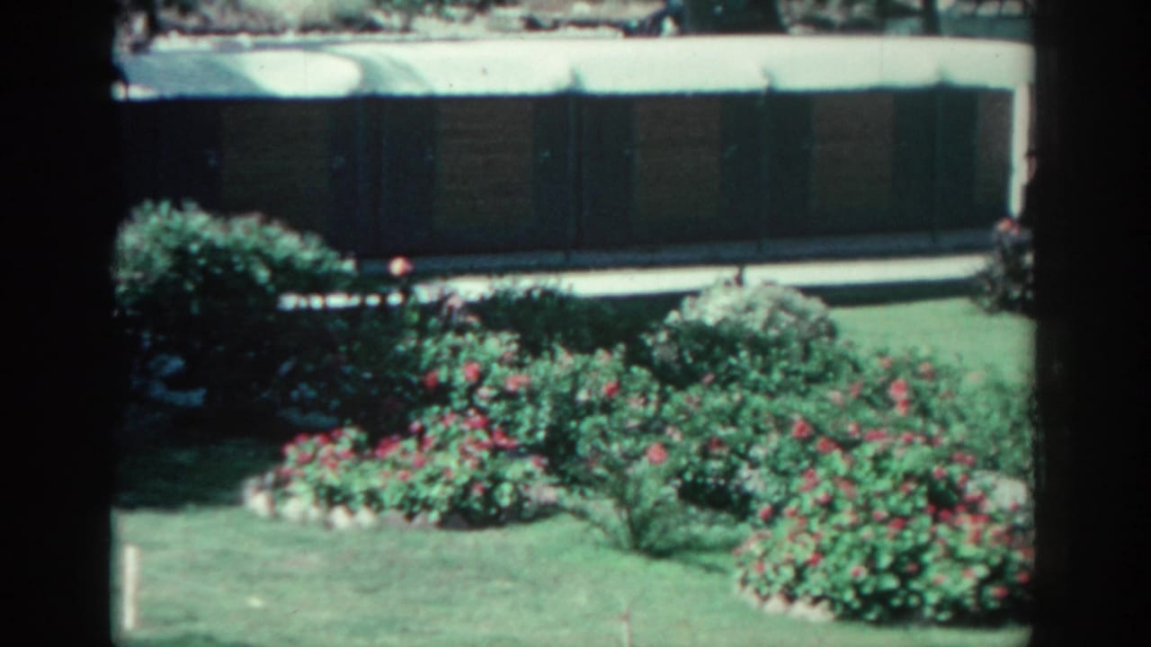 Flowering shrubs and lawn beside a low building with a pale roofline.