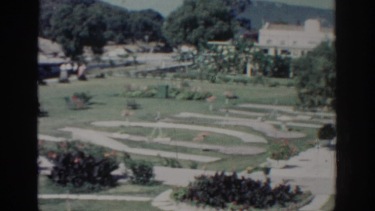 Garden paths and lawns bordered by flowerbeds, with trees and pale buildings beyond.