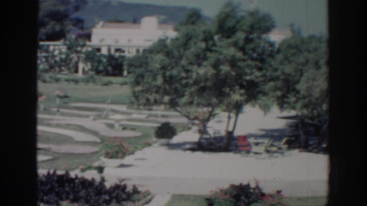 Garden courtyard with trees, paths, lawns, chairs, and a pale building in the background.