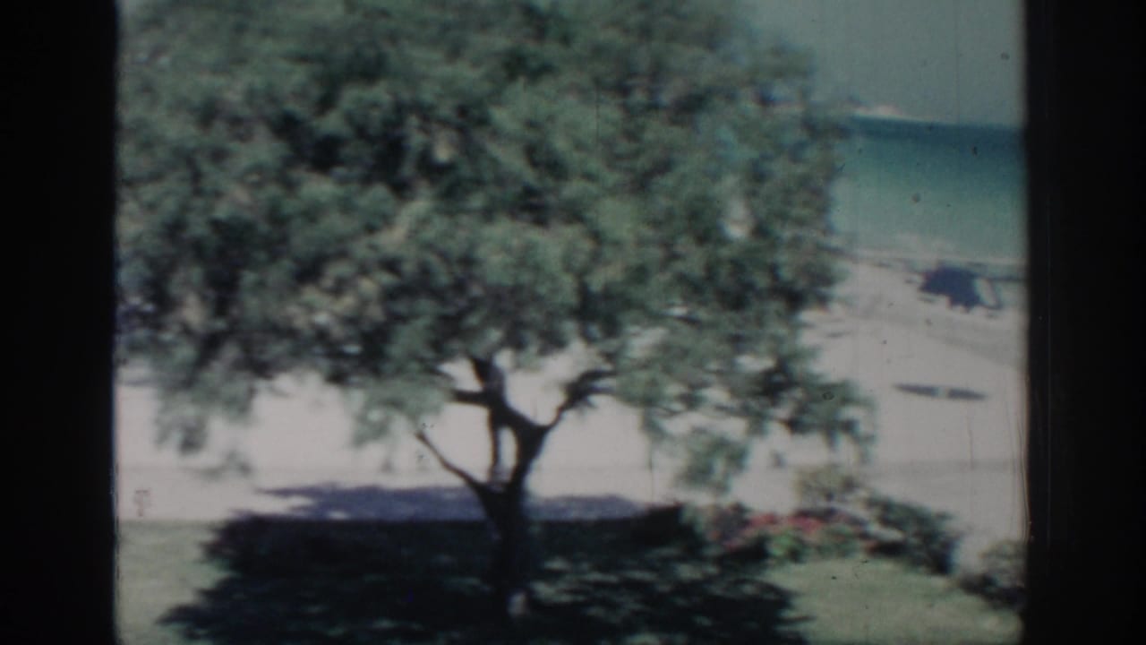 1962 Rhodes home-movie frame showing a shaded tree, pale beach, and turquoise sea from a shore or garden viewpoint.