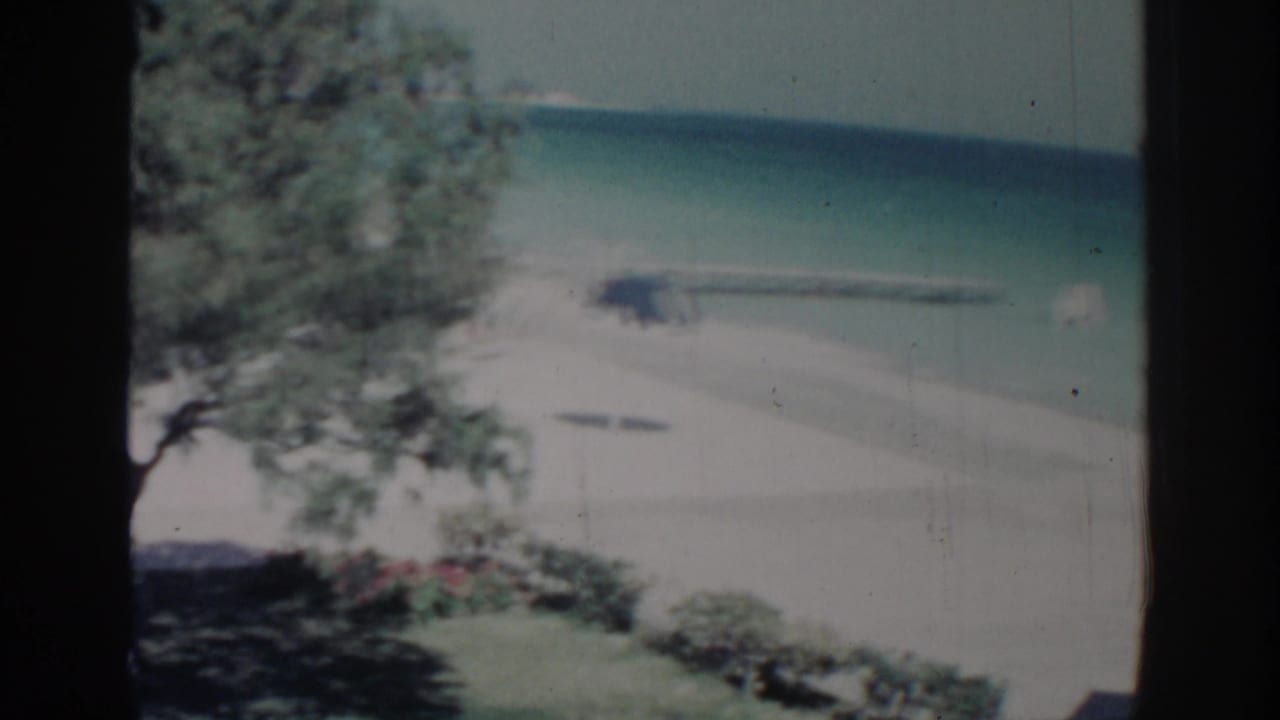 Rhodes 1962 seaside view with a leafy tree, bright sand, turquoise water, and shoreline plants in soft 8mm color.
