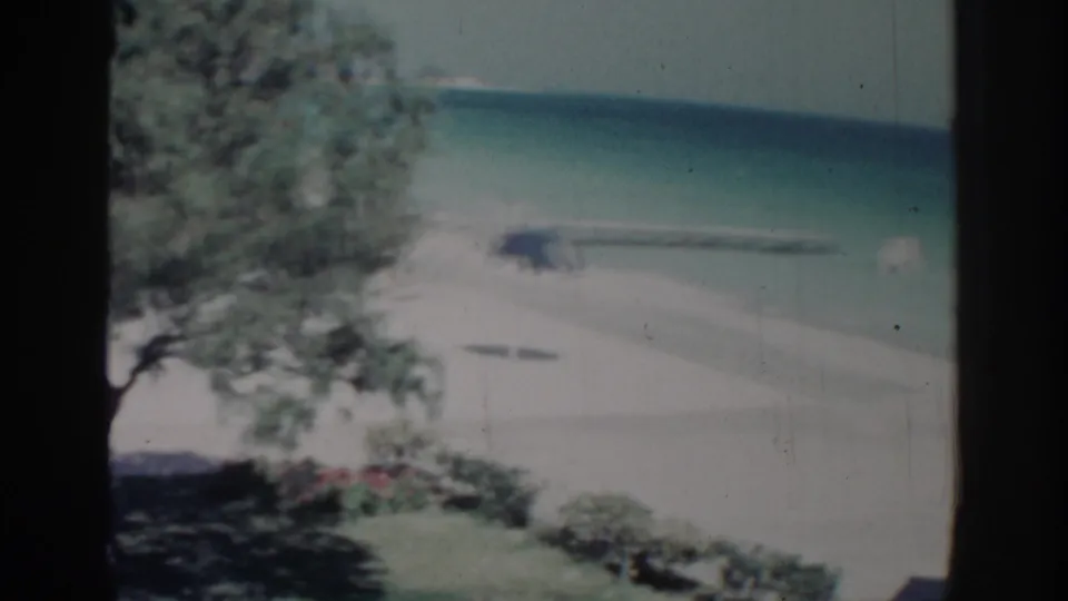 Rhodes 1962 seaside view with a leafy tree, bright sand, turquoise water, and shoreline plants in soft 8mm color.